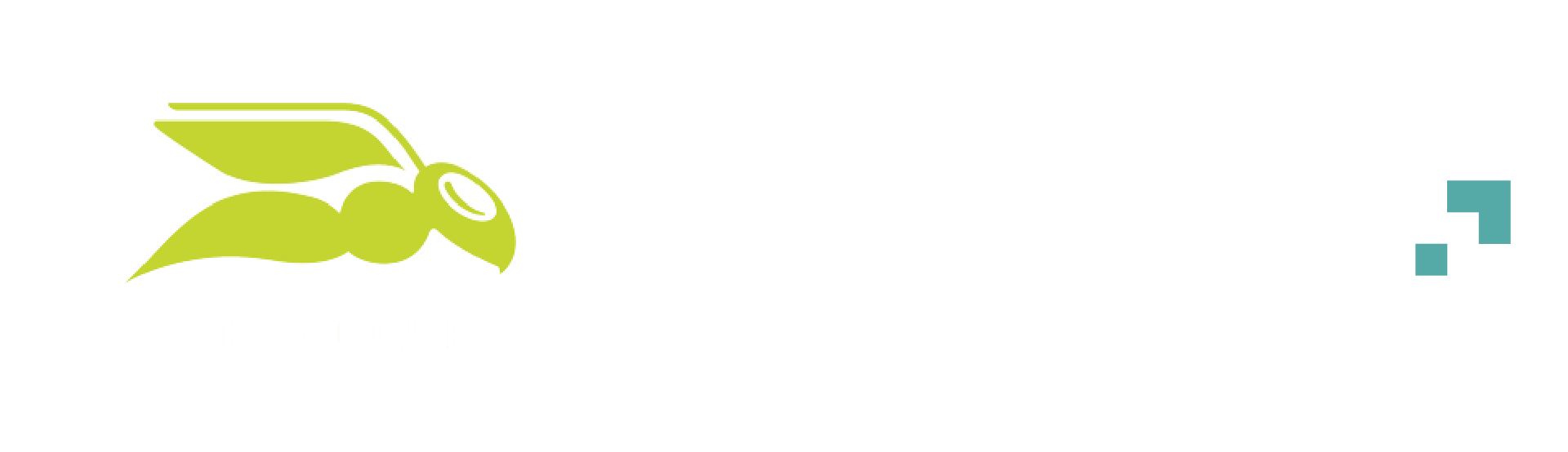 Logo de Inetum