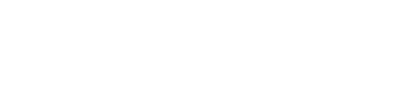 Logo de Seguridad SI